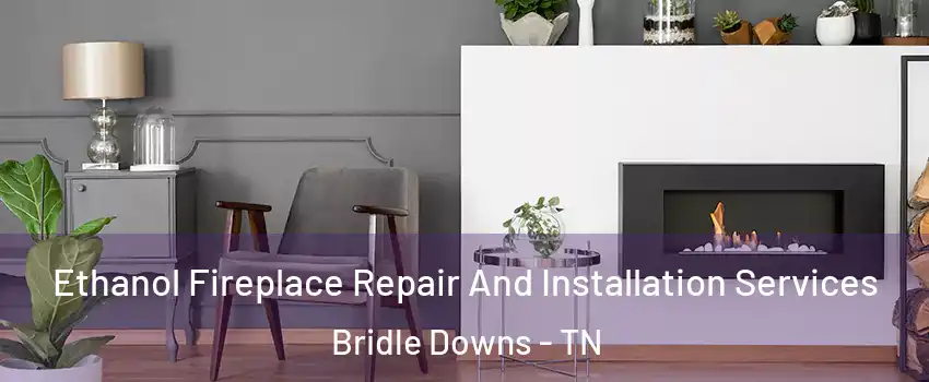 Ethanol Fireplace Repair And Installation Services Bridle Downs - TN