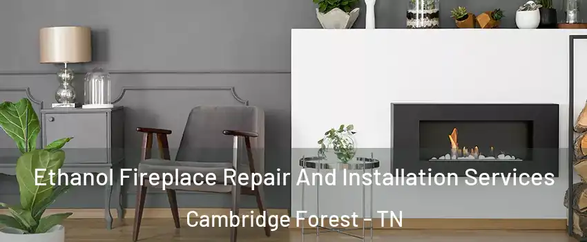 Ethanol Fireplace Repair And Installation Services Cambridge Forest - TN