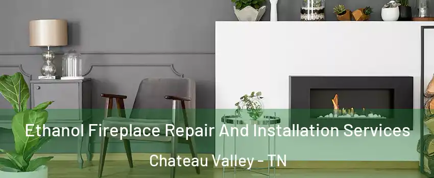 Ethanol Fireplace Repair And Installation Services Chateau Valley - TN