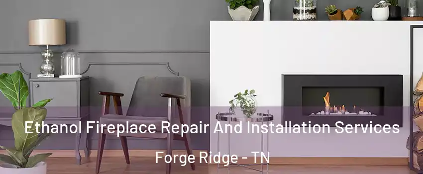 Ethanol Fireplace Repair And Installation Services Forge Ridge - TN