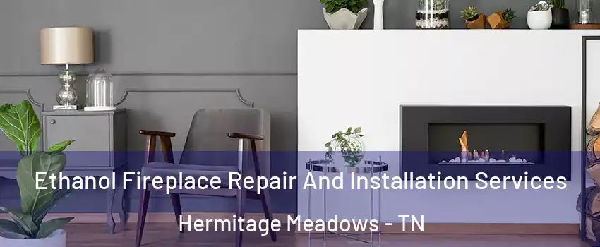 Ethanol Fireplace Repair And Installation Services Hermitage Meadows - TN