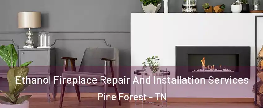 Ethanol Fireplace Repair And Installation Services Pine Forest - TN