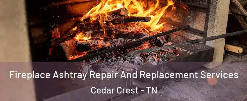 Fireplace Ashtray Repair And Replacement Services Cedar Crest - TN