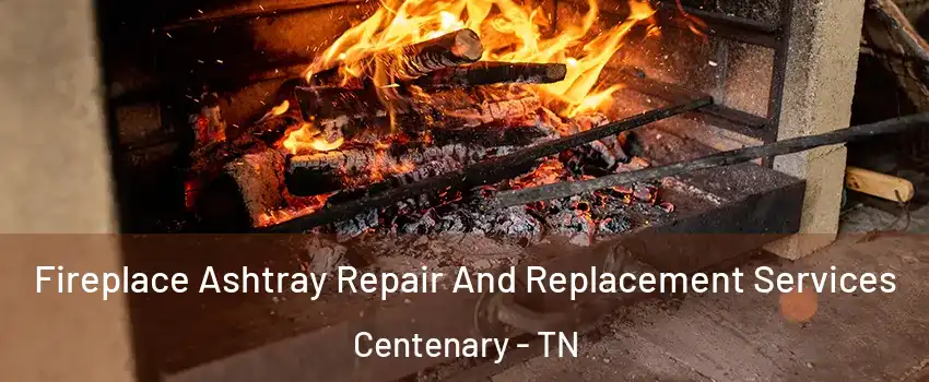 Fireplace Ashtray Repair And Replacement Services Centenary - TN