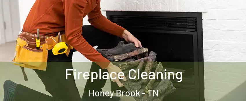 Fireplace Cleaning Honey Brook - TN