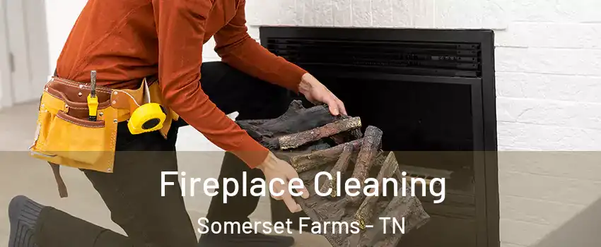 Fireplace Cleaning Somerset Farms - TN