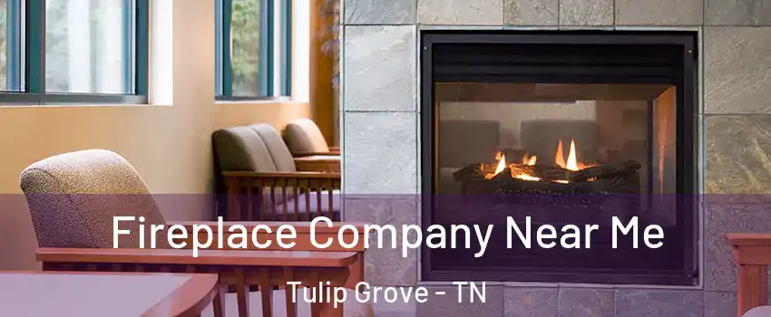 Fireplace Company Near Me Tulip Grove - TN