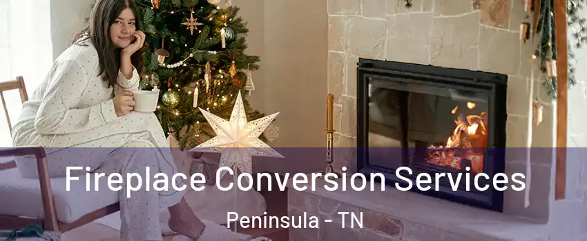 Fireplace Conversion Services Peninsula - TN