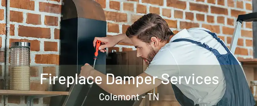 Fireplace Damper Services Colemont - TN