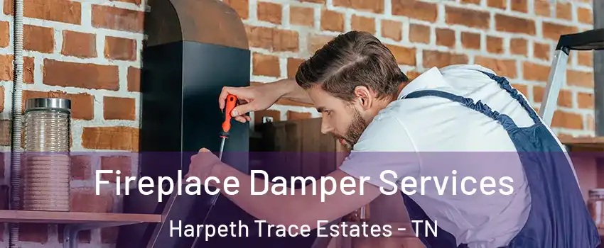 Fireplace Damper Services Harpeth Trace Estates - TN