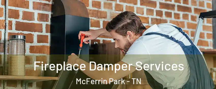 Fireplace Damper Services McFerrin Park - TN