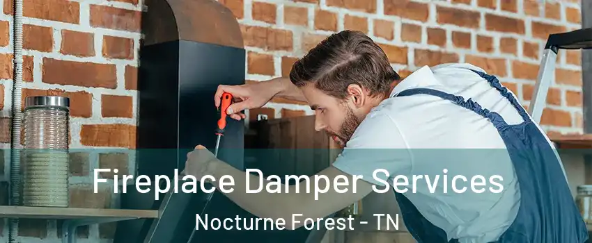 Fireplace Damper Services Nocturne Forest - TN