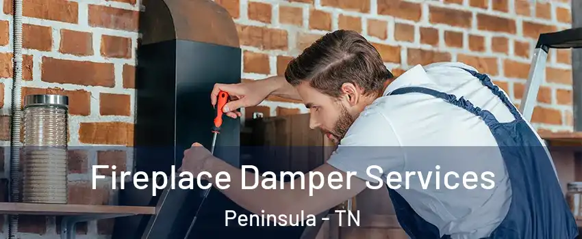 Fireplace Damper Services Peninsula - TN