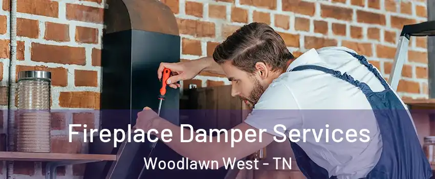 Fireplace Damper Services Woodlawn West - TN