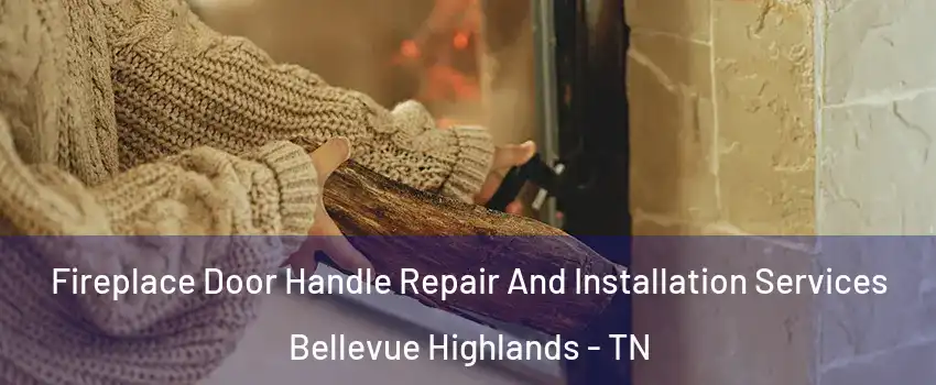 Fireplace Door Handle Repair And Installation Services Bellevue Highlands - TN