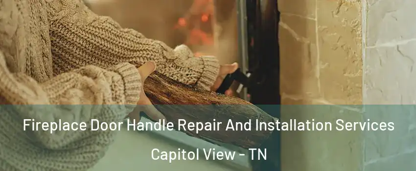 Fireplace Door Handle Repair And Installation Services Capitol View - TN