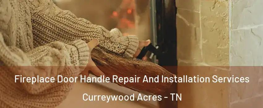 Fireplace Door Handle Repair And Installation Services Curreywood Acres - TN