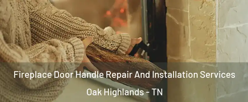 Fireplace Door Handle Repair And Installation Services Oak Highlands - TN