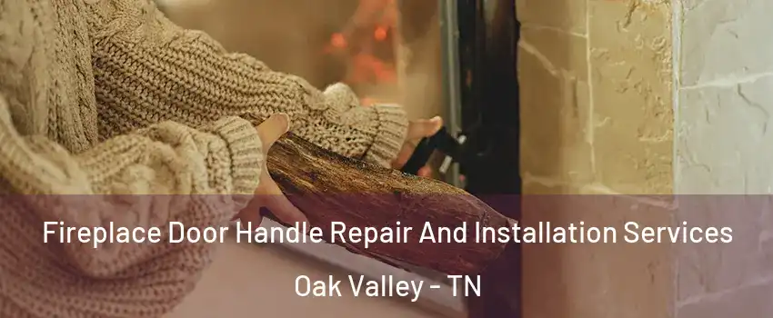 Fireplace Door Handle Repair And Installation Services Oak Valley - TN