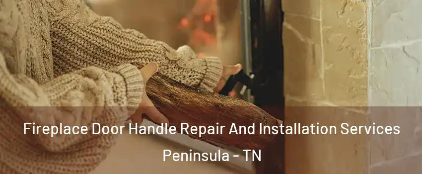 Fireplace Door Handle Repair And Installation Services Peninsula - TN