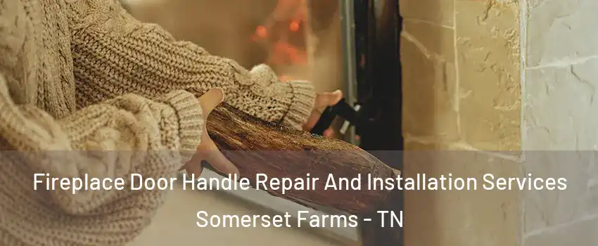 Fireplace Door Handle Repair And Installation Services Somerset Farms - TN