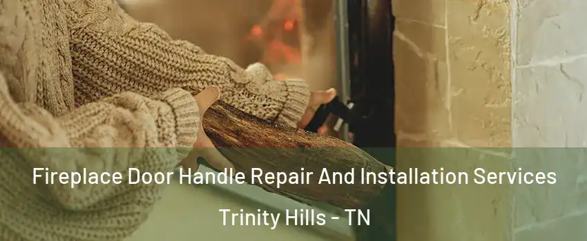 Fireplace Door Handle Repair And Installation Services Trinity Hills - TN