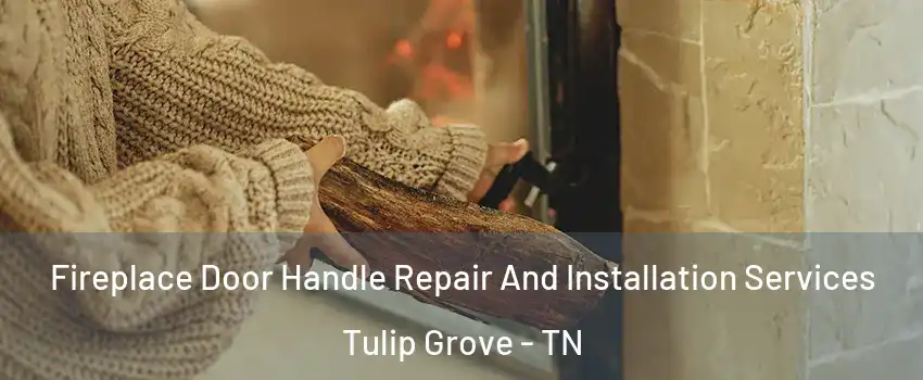 Fireplace Door Handle Repair And Installation Services Tulip Grove - TN