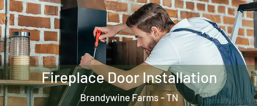 Fireplace Door Installation Brandywine Farms - TN