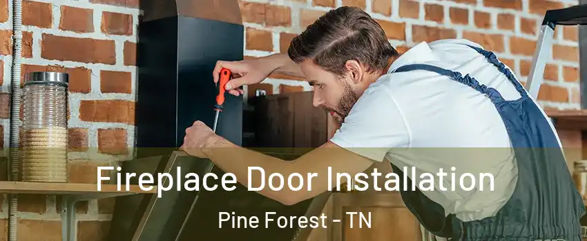 Fireplace Door Installation Pine Forest - TN