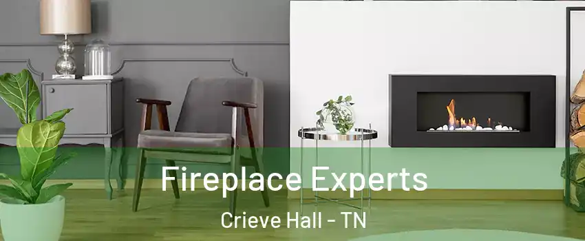 Fireplace Experts Crieve Hall - TN