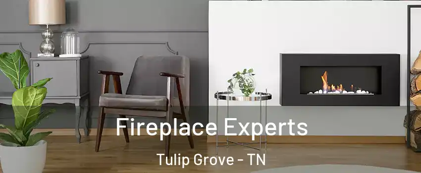 Fireplace Experts Tulip Grove - TN