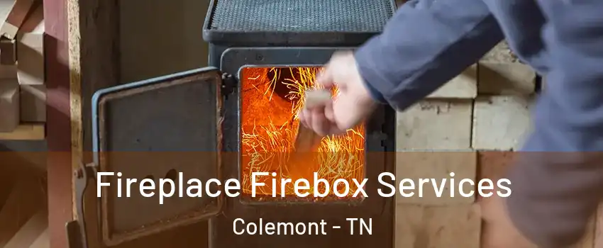 Fireplace Firebox Services Colemont - TN