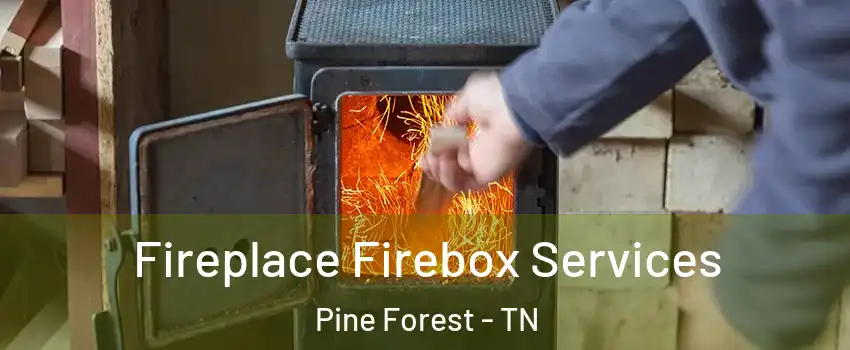 Fireplace Firebox Services Pine Forest - TN