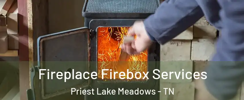 Fireplace Firebox Services Priest Lake Meadows - TN