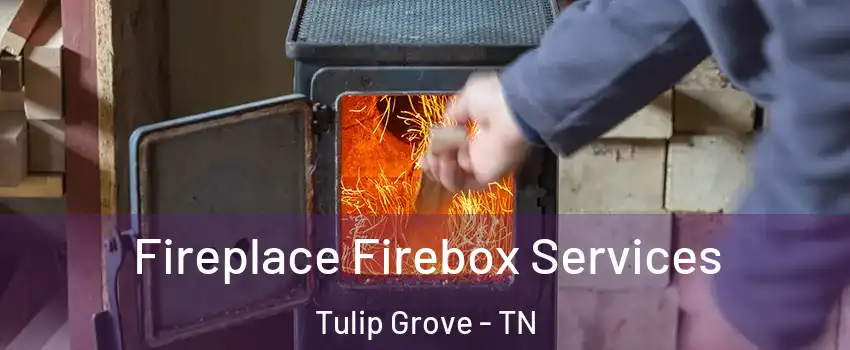 Fireplace Firebox Services Tulip Grove - TN