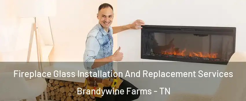 Fireplace Glass Installation And Replacement Services Brandywine Farms - TN