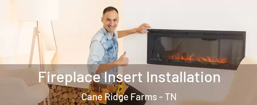 Fireplace Insert Installation Cane Ridge Farms - TN