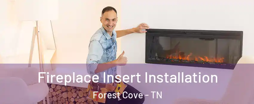 Fireplace Insert Installation Forest Cove - TN