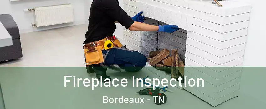 Fireplace Inspection Bordeaux - TN