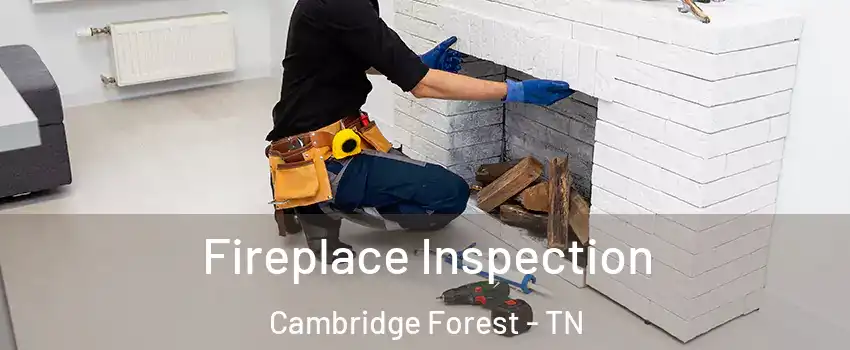 Fireplace Inspection Cambridge Forest - TN