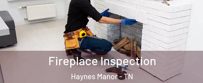 Fireplace Inspection Haynes Manor - TN