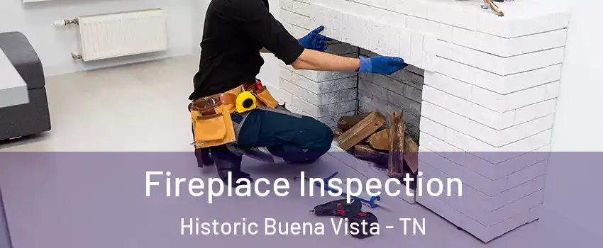 Fireplace Inspection Historic Buena Vista - TN