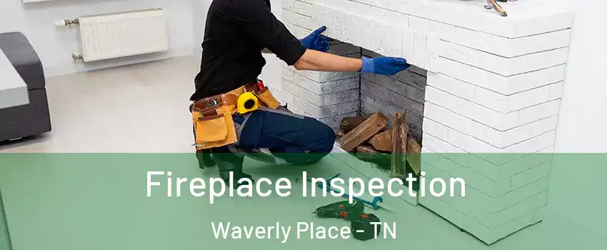 Fireplace Inspection Waverly Place - TN