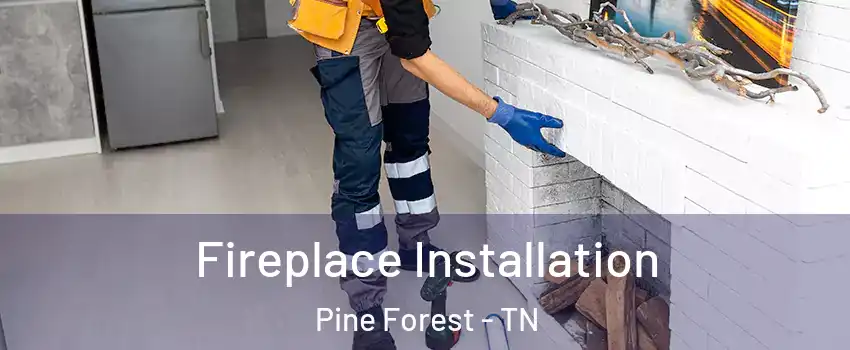 Fireplace Installation Pine Forest - TN