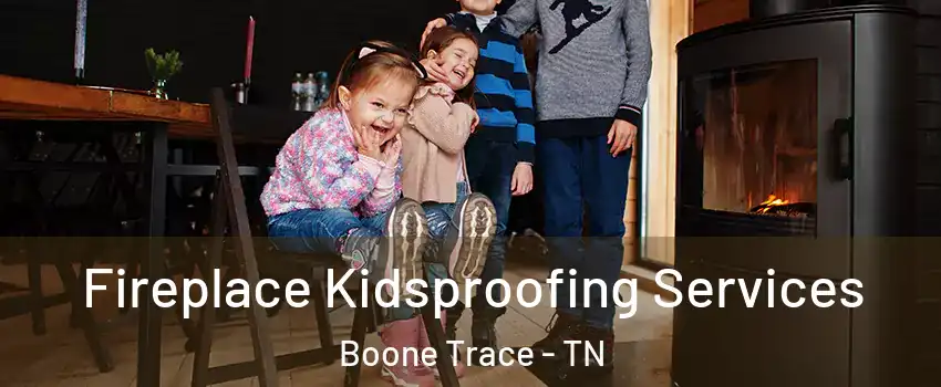 Fireplace Kidsproofing Services Boone Trace - TN