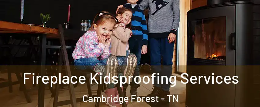 Fireplace Kidsproofing Services Cambridge Forest - TN