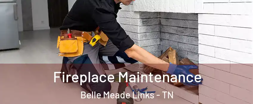 Fireplace Maintenance Belle Meade Links - TN