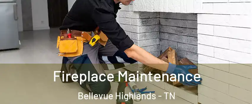 Fireplace Maintenance Bellevue Highlands - TN