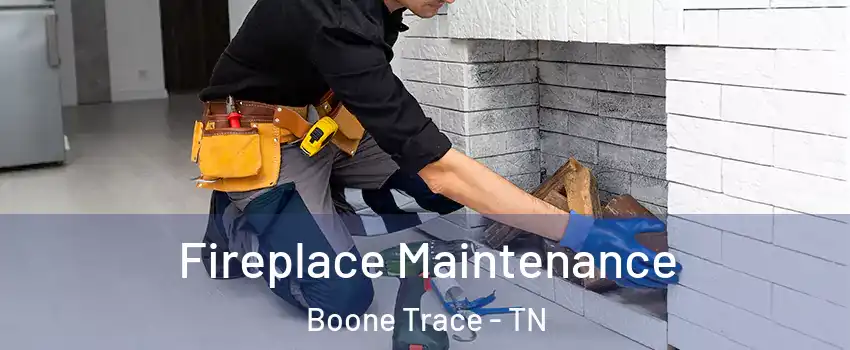 Fireplace Maintenance Boone Trace - TN