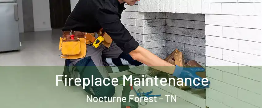 Fireplace Maintenance Nocturne Forest - TN